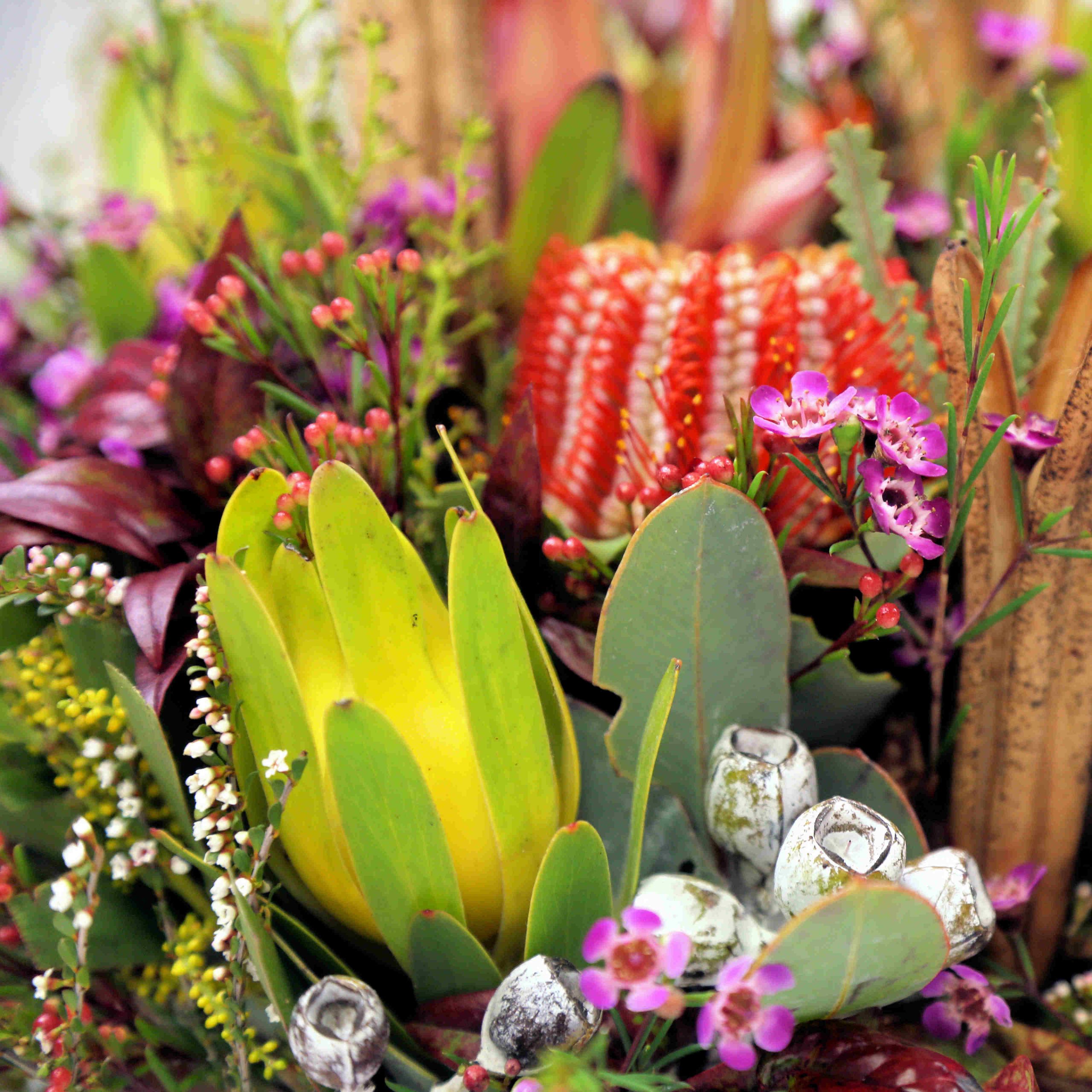 Native Florist Choice Arrangement