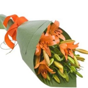 Lovely Lillies in Orange