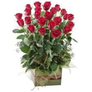 Large Box with 24 Red Roses