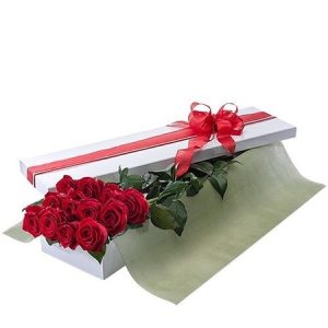 Presentation Box of 12 Red Roses