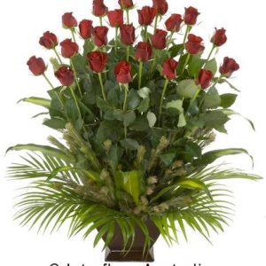 Pot with 24 Red Roses